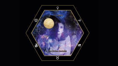 The Creatrix Prophecy Box Set (With Postage)
